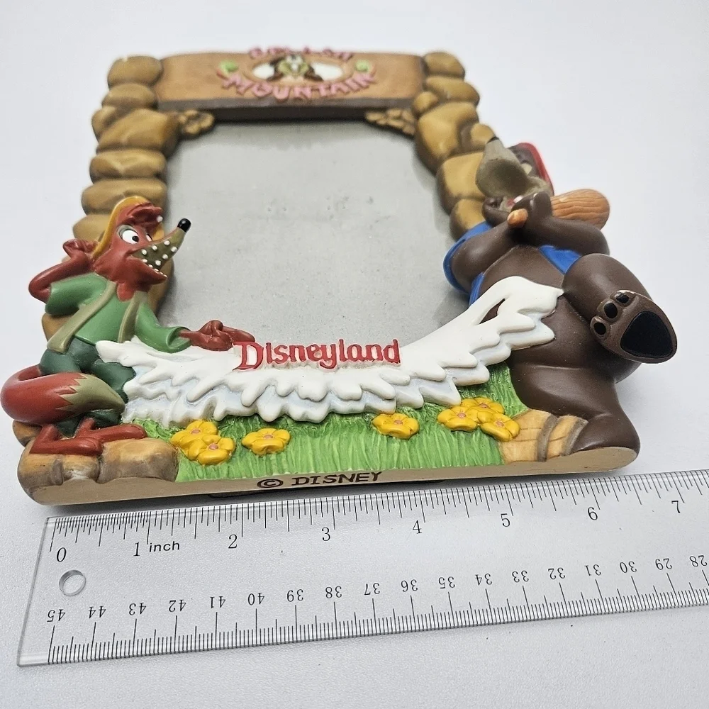 Rare splash Mountain picture frame